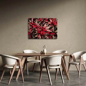 Piros szirmok képe (70x50 cm)