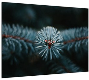 Egy tűlevelű fa gallyának képe (70x50 cm)