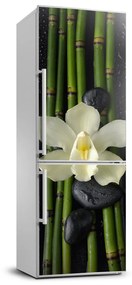 Matrica hűtőre Orchidea és bambusz FridgeStick-70x190-f-55995271