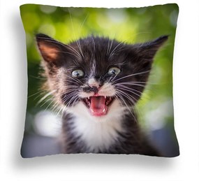 Cica Párna 45 Kicsi De Őrült Jancsi 50x50 Lengyel