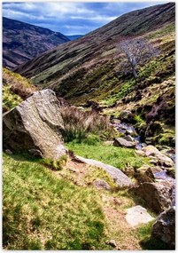 Poszterek 70x100 Hegyi patak