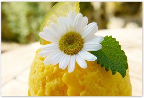 Poszterek 185x125 Gyümölcsös sárgabarack fagylalt