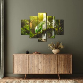 Kaméleon képe (150x105 cm)