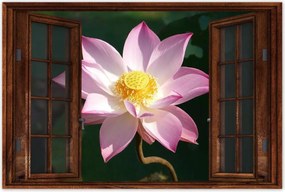 Poszterek 90x60 Lótusz Lótuszvirág