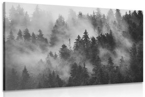 Kép hegyek ködben fekete fehérben