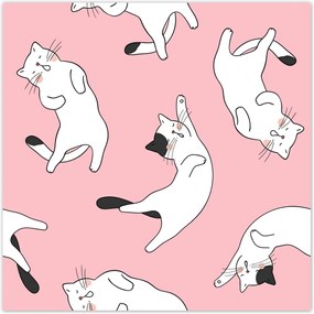 Poszterek 100x100 Cica Cicák Macskák