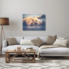 Egy kép a macskáról a padlón (üvegen) (70x50 cm)