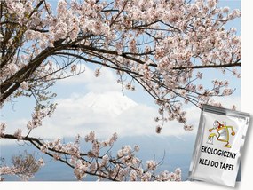 Fotótapéta Flizelina Tájkép Természet Cseresznyevirág Fa 300x210 ragasztó