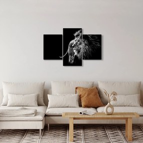 Kép - Oroszlán (90x60 cm)