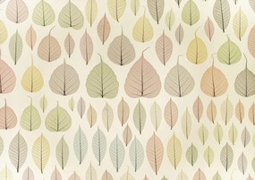 Poszter 29,7x21cm Csontváz levelek, Assaf Frank