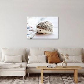 Sündisznó képe (70x50 cm)