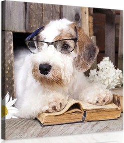 Vászonkép 40x40 Olvasó Kutya Virágok és Tudás Bájos akcentus a szobába