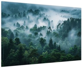 Kép - Erdő ködben (90x60 cm)