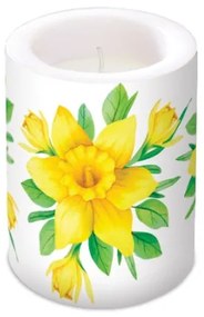 Daffodils in Bloom átvilágítós gyertya 10x12cm