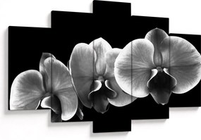 Egy orchidea virág képe (150x105 cm)