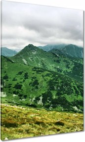 Vászonkép 70x100 Tátra Lengyel hegyek Kilátás