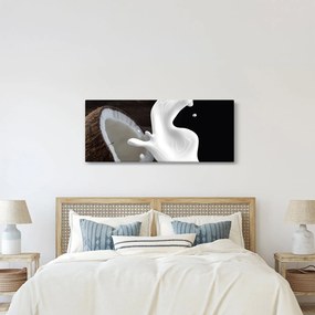 Kép - kókusz tej (120x50 cm)