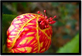 Poszterek keretben 60x40 Nőnap Ajándék Love