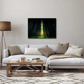 Sötét erdő képe (70x50 cm)