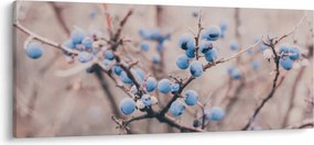 Bogyók egy bokor képe (120x50 cm)