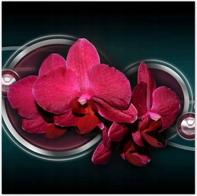 Poszterek 100x100 Lila orchidea