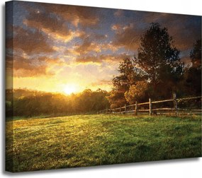 Vászonkép Nap Tájkép Falusi fák Rét 40x30 cm