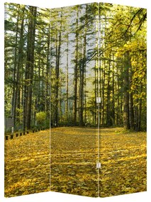 Paraván - Erdő ősszel (126x170 cm)