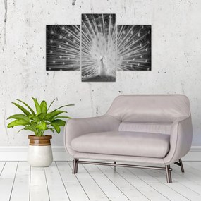 Kép - Fehér páva (90x60 cm)