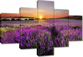 Vászonkép 100x70 Levendulamező Nyugat