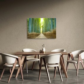 Üveg kép - Bambusz erdő (70x50 cm)