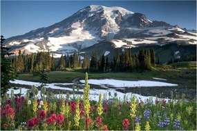Kép - Mount Rainier (90x60 cm)