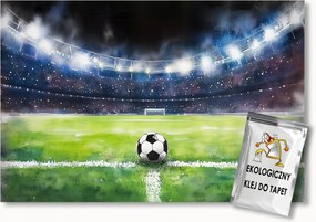 Fotótapéta Flizelina Gyerekek Sport Labdarúgás Stadion Pálya 250x175 ragasztó