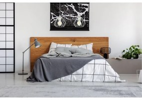 Csillár zsinóron CEED 2xE27/60W/230V