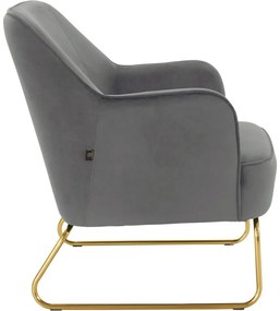 Szürke bársony fotel Joshua - Støraa