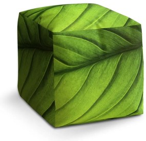 Cube zsámoly levél, zöld