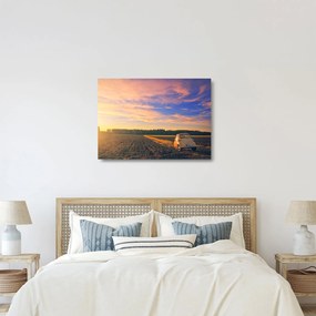Egy sárga autó képe a mezőn (üvegen) (70x50 cm)