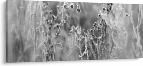 Kép - Wild Meadow (120x50 cm)