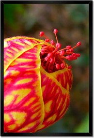 Poszterek keretben 40x60 Nőnap Ajándék Love