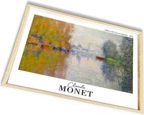 4262AHSMONET-002