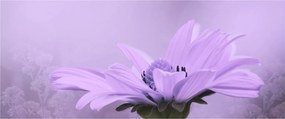 Kép - Ibolya virág (120x50 cm)