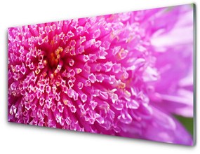 Akrilkép Virág A Wall 140x70 cm