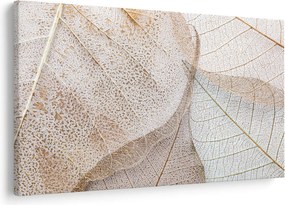 Kép - Bézs levelek (90x60 cm)