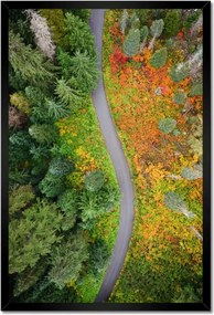 Poszterek keretben 40x60 Út Erdő Ősz