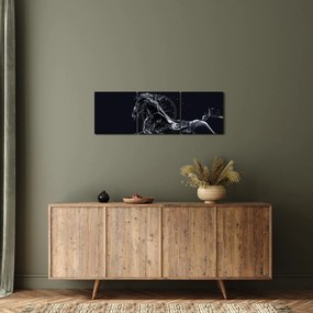 Kép - Ló és a víz (órával) (90x30 cm)