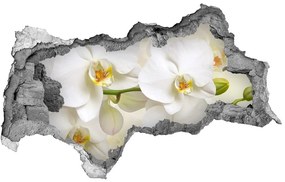 3d fali matrica lyuk a falban Orchidea nd-b-123330197