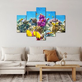 Kép - A tenger világa (150x105 cm)