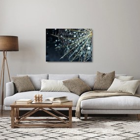 Kép - Virág pókhálóval (üvegen) (70x50 cm)