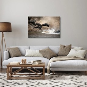 Kép - Gnúcsorda (90x60 cm)