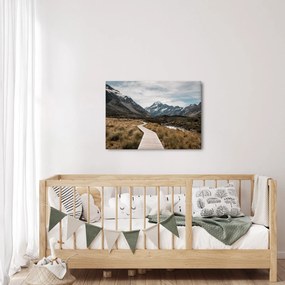 Kép - Sétány a hegységben Mt. Cook (70x50 cm)