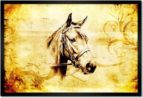 Poszterek keretben 60x40 Lófej